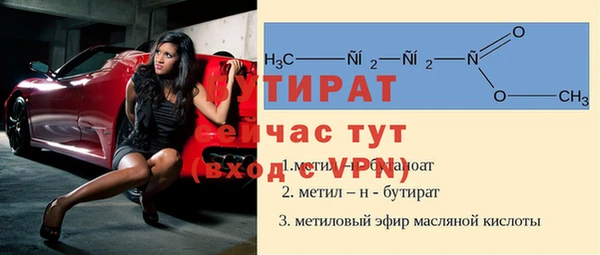 индика Алексин