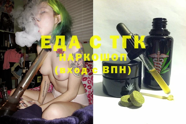 индика Алексин